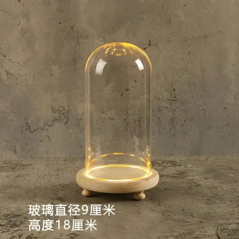 Decorbites™ glass bell jar terrarium with led light featuring clear glass dome glowing warmly on a wooden base