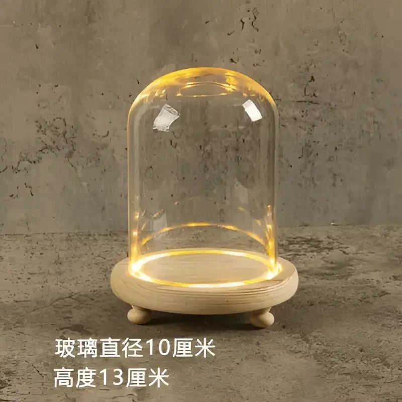 Decorbites glass bell jar terrarium with clear glass dome warm led lighting and light wood base jar terrarium