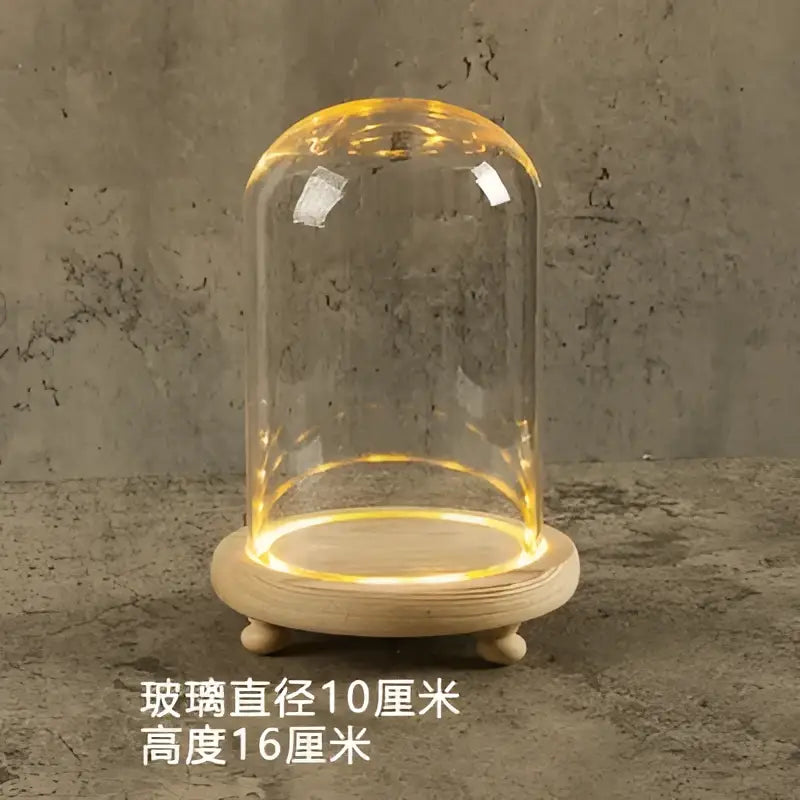 Decorbites glass bell jar terrarium with clear glass dome warm led lighting on light wood base for home decor