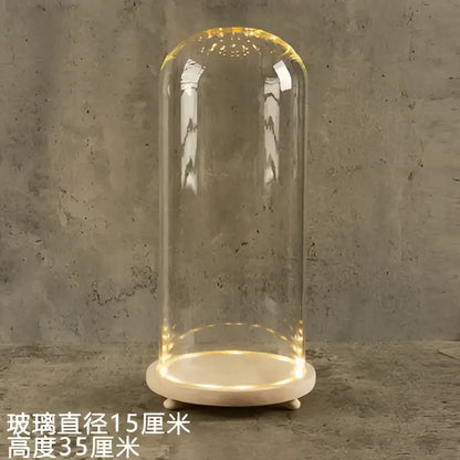 Decorbites™ glass bell jar terrarium with warm led light ring on clear dome resting on white marble pedestal