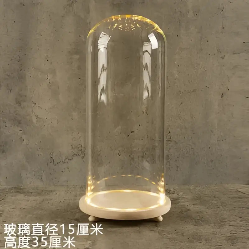 Decorbites™ glass bell jar terrarium with warm led light ring on clear dome resting on white marble pedestal