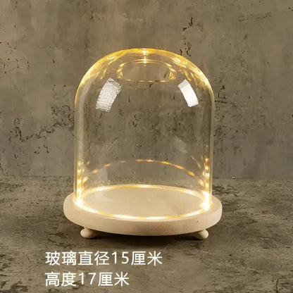 Decorbites™ glass bell jar terrarium with warm led lights and light wooden base ideal for elegant home decor