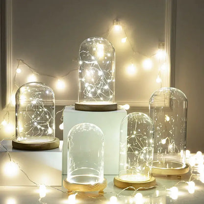Decorbites glass bell jar terrarium with warm white led lights inside clear glass bell jar on wooden base