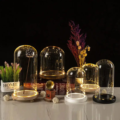 DecorBites™ glass bell jar terrarium with warm led light and wood white and black base color options