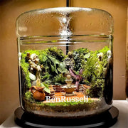 A clear glass cylindrical terrarium kit by decorbites featuring a lush micro landscape glass with moss and miniature fountain