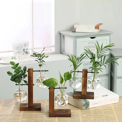 Set of three clear glass bulb vase planters with green plants on wooden stands by decorbites glass bulb vase