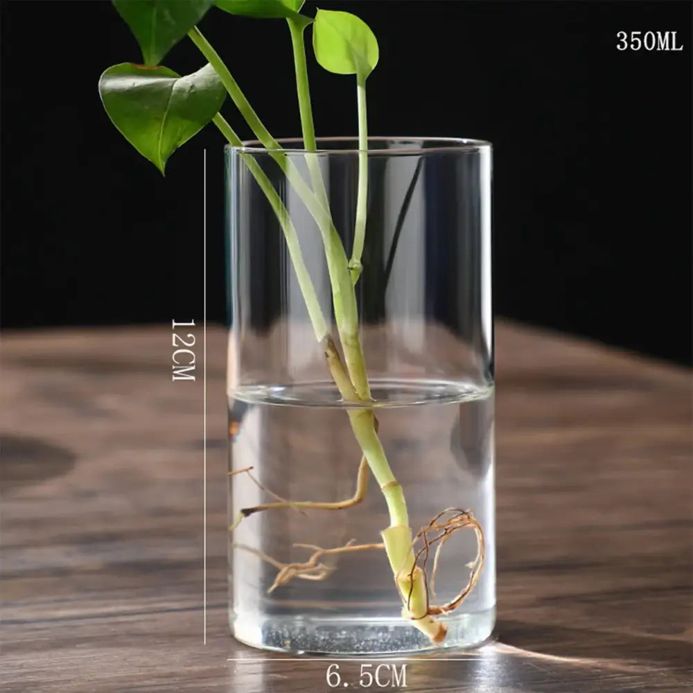 Decorbites™ glass vase planter with 350ml capacity and 12cm height holding water and green plant stems