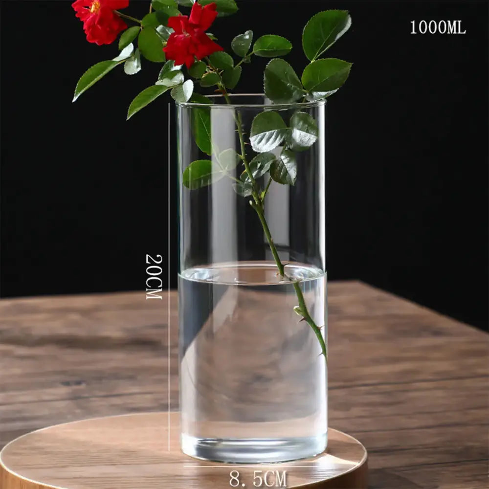 DecorBites™ clear glass vase 1000ml capacity 20cm height holding red roses as a flower vase or planter vase
