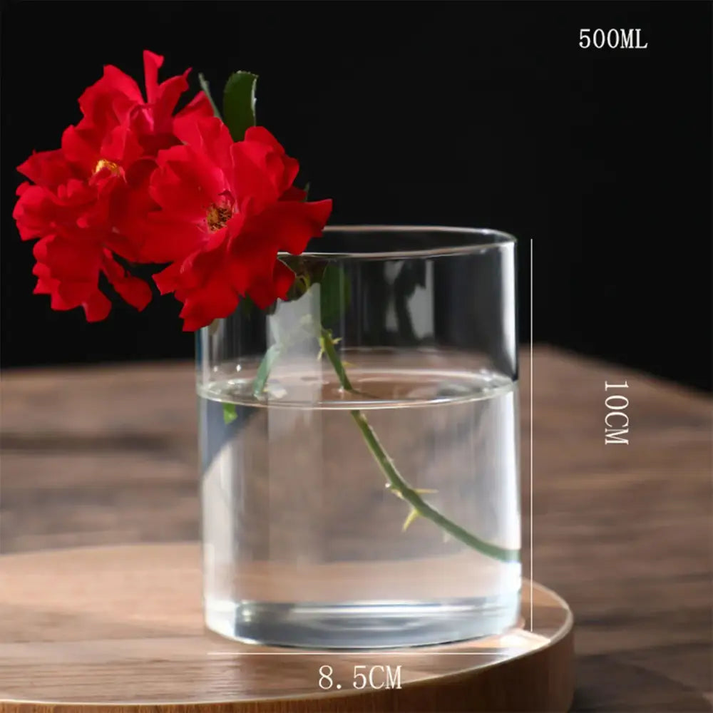 DecorBites™ glass vase hydroponic planter vase with vibrant red roses in a clear cylindrical flower vase