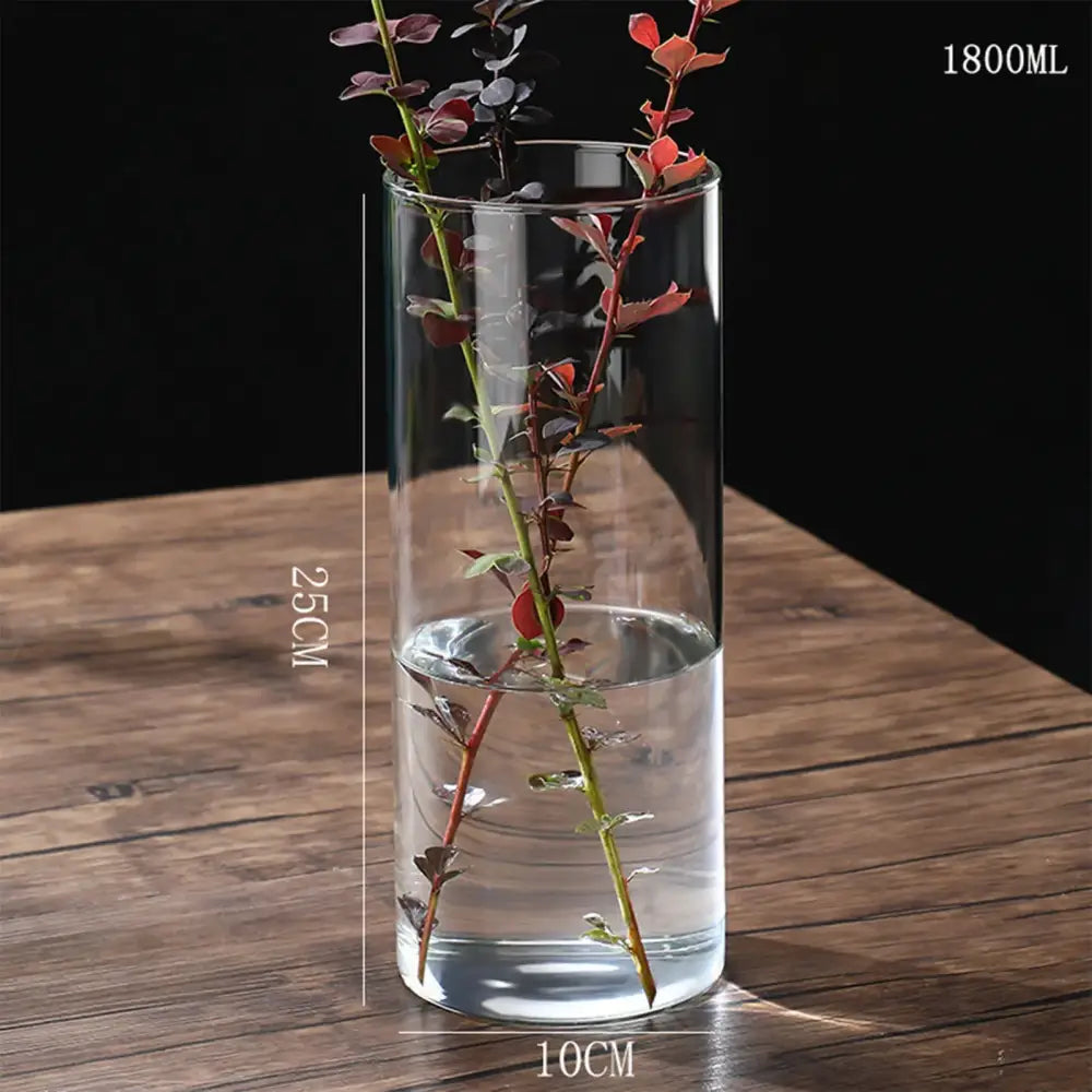 Clear cylindrical glass planter vase 1800ml capacity 10cm diameter 25cm height decorbites hydroponic desktop vase