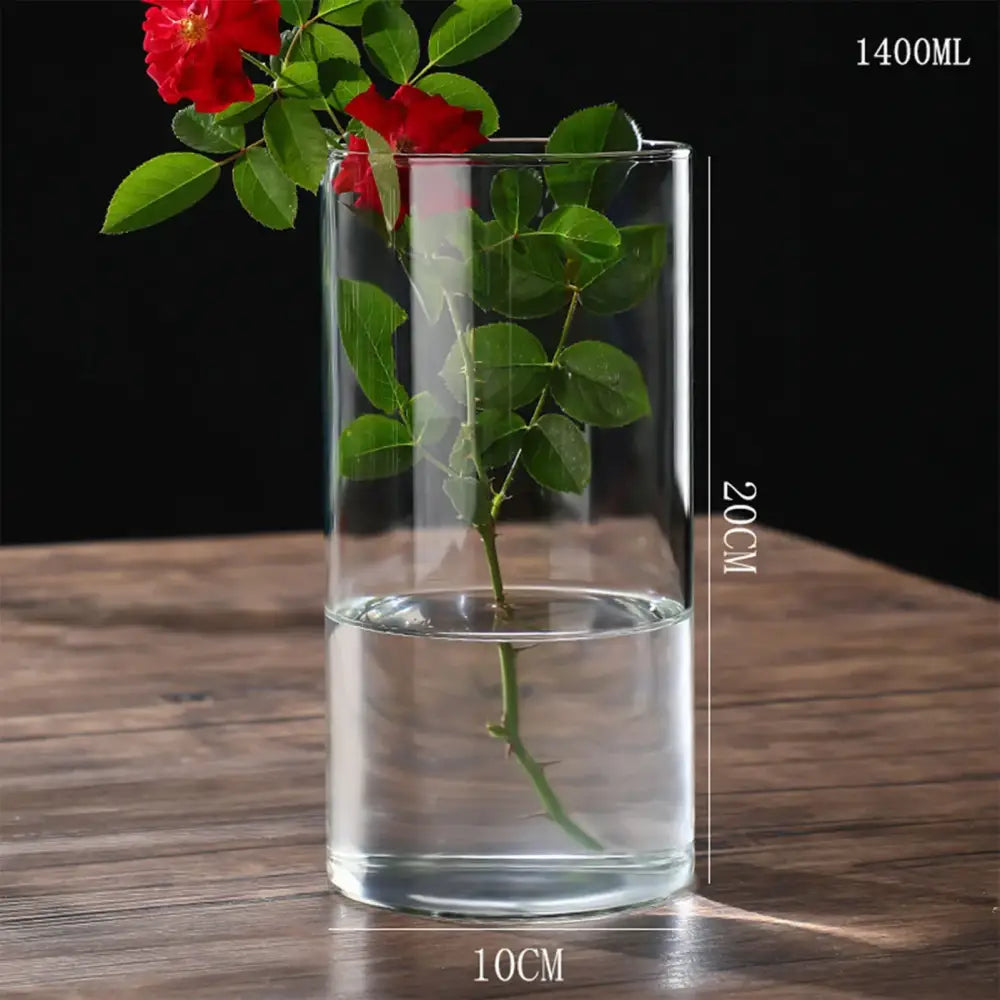 DecorBites™ glass vase hydroponic planter vase clear cylindrical flower vase with single red rose stem in water