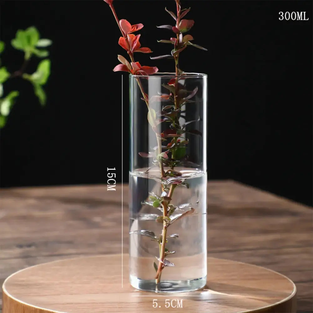 Clear cylindrical glass vase DecorBites™ planter vase 300ml capacity 15cm height with red-leafed plant stems