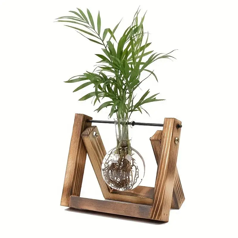 Decorbites™ glass planter propagation station with a sleek transparent glass vase and rustic wooden stand for propagation station use