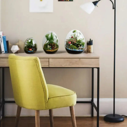 Three high quality glass egg-shaped terrariums by decorbites containing miniature green plant ecosystems