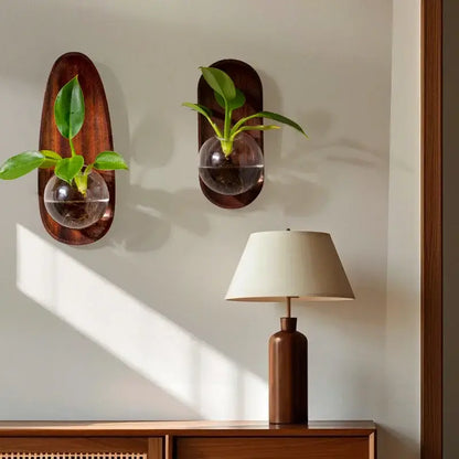 Two dark wood decorbites glass vase wall-mounted flowerpots holding small green plants in clear glass spheres for home décor