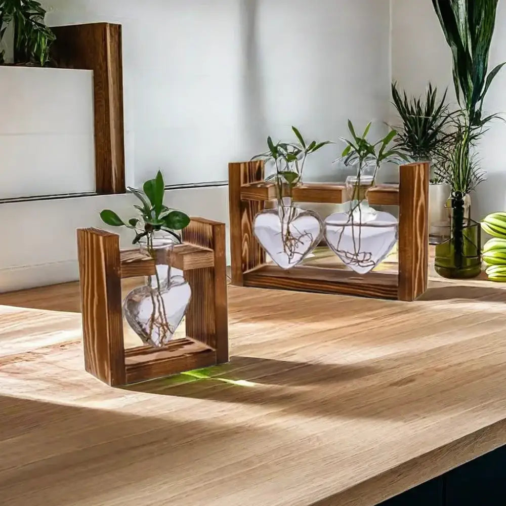 DecorBites™ heart hydroponic plant glass vase with visible roots in a rustic wooden frame terrarium