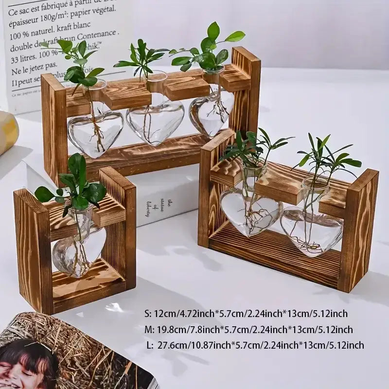 Set of three wooden frame planters with heart hydroponic plant in glass vase showcasing visible roots and greenery