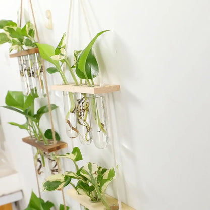 Decorbites™ glass wall hanging planters with wooden holder feature tiered light wood shelves and clear test tubes with green plants