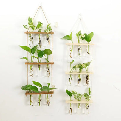 Two decorbites™ glass wall hanging planters with clear test tubes suspended by natural twine on light wooden holders