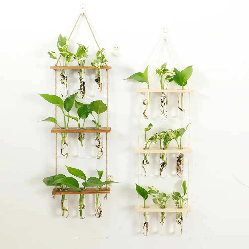 Two vertical wall hanging planters with wooden holder and clear glass test tubes filled with green leafy plants