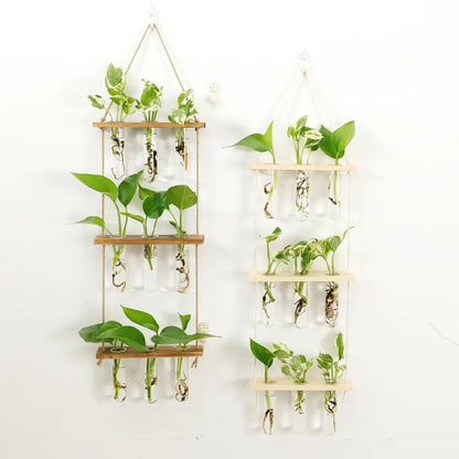 Two vertical wall hanging planters with wooden holder and clear glass test tubes filled with green leafy plants