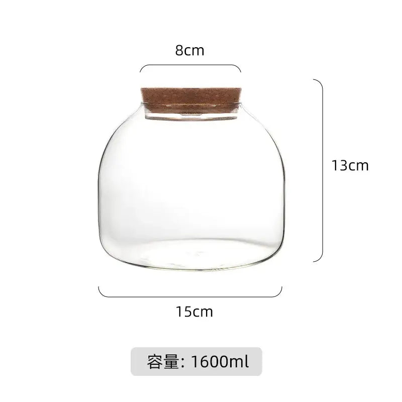 Clear glass vase with brown cork lid measuring 15cm wide and 13cm tall for green moss glass terrarium use