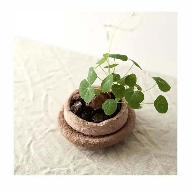 DecorBites™ handcrafted ceramic vase terracotta pottery vase with rough texture holding small green leafy plant