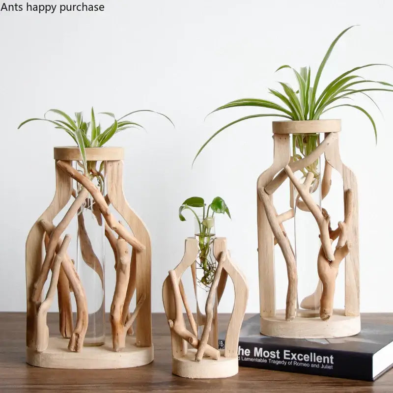 DecorBites™ handcrafted wooden vase features natural driftwood frames with clear glass and green air plants for home decor