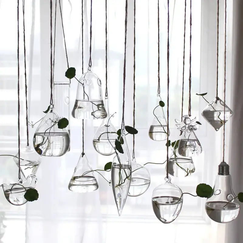 DecorBites™ handmade clear glass hanging planters in various shapes with green plants for home decor use