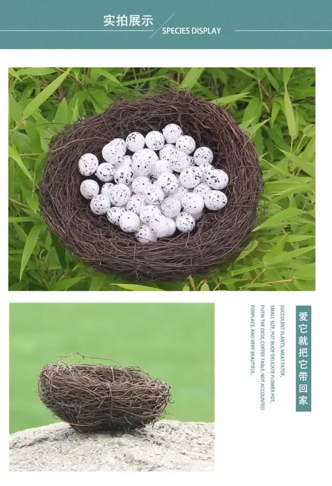 Decorbites handmade round rattan bird nest decoration with rustic brown woven rattan bird nest holding white speckled eggs
