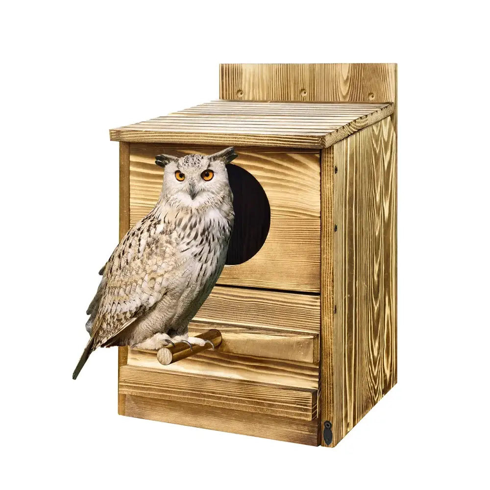 A realistic white and gray screech owl with yellow eyes perched inside a rustic wooden DecorBites™ owl house