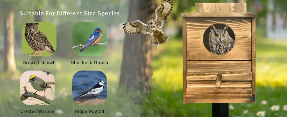 Wooden DecorBites™ handmade screech owl house with circular entrance and horizontal slats for outdoor nesting