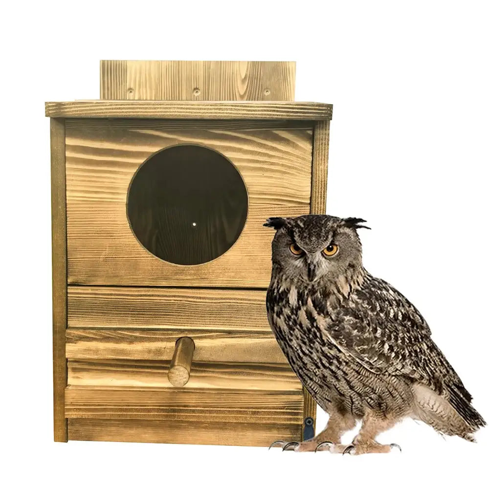 Decorbites handmade wooden screech owl house with circular entrance and perch beside eurasian eagle owl outdoors