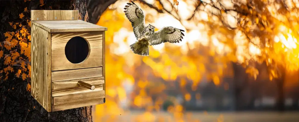 DecorBites™ handmade rustic wooden screech owl house with circular entrance and perch mounted on tree trunk