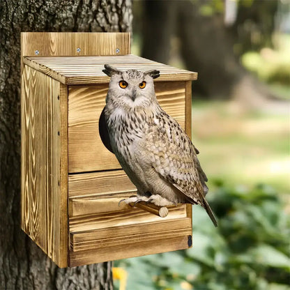 A gray and white screech owl with orange eyes perched on a handmade wooden owl house mounted on a tree trunk