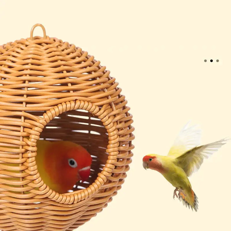 A decorbites™ handwoven grass bird cage hut featuring a woven wicker design housing a red-headed parrot