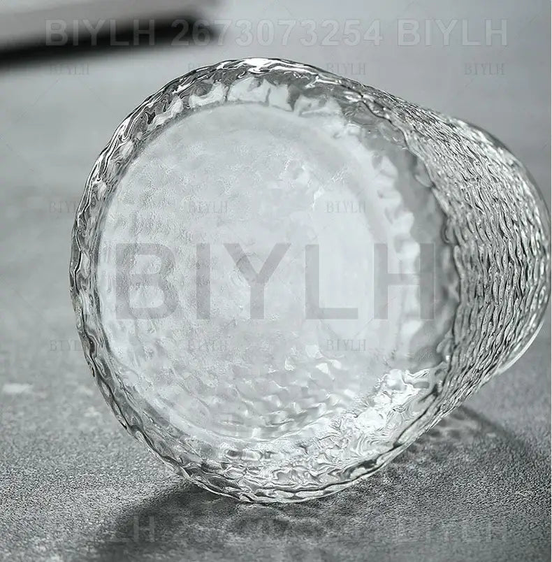 Decorbites™ hydroponic glass flower pots set of 2 clear glass flower pots with textured hammered finish