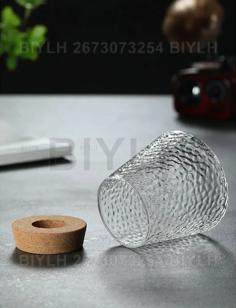 Clear glass flower pot with hammered texture and natural cork stopper from decorbites™ hydroponic glass flower pots set