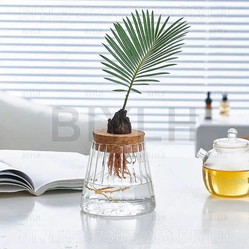 DecorBites hydroponic glass flower pots set of 2 with clear glass vase and cork lid holding green palm frond