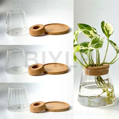 DecorBites hydroponic glass flower pots set of 2 clear glass flower pots with textured fluted design and cork lids