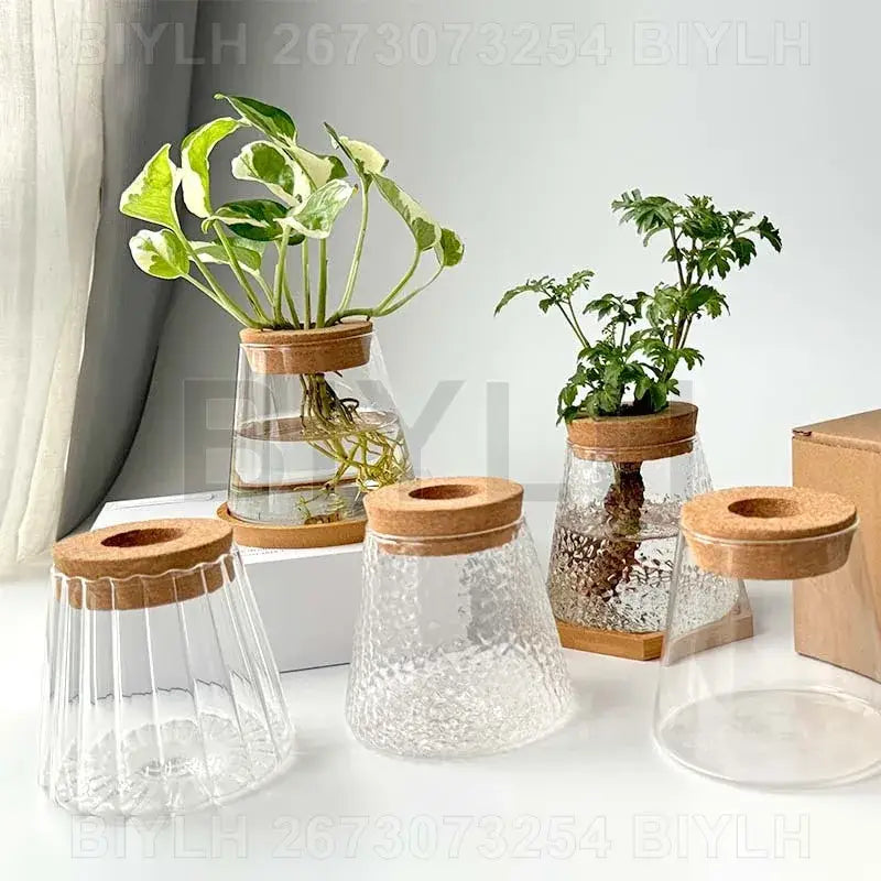 Clear glass flower pots with textured surfaces and cork lids by decorbites hydroponic glass flower set of 2