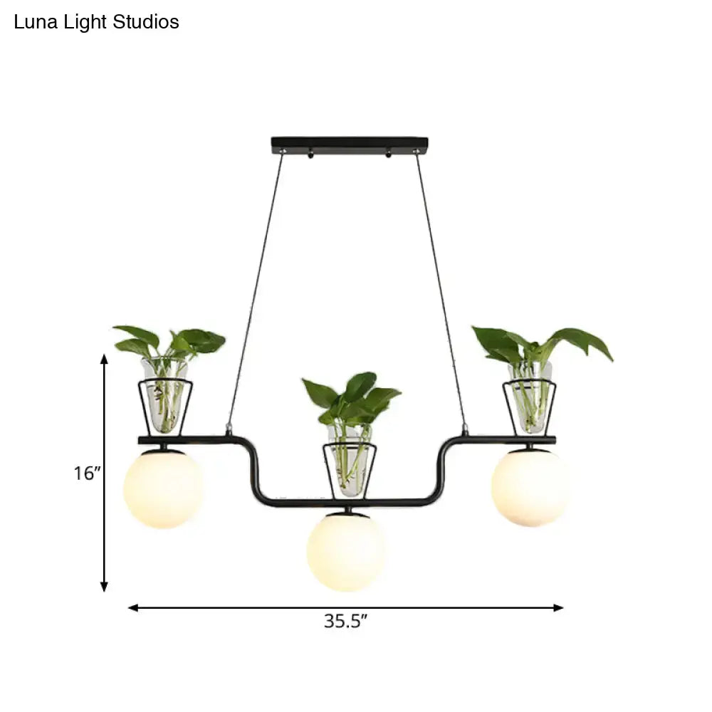 DecorBites™ black metal chandelier with three opal glass globes and clear glass pots holding green leafy plants