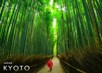 DecorBites™ Japanese city landscape canvas wall art featuring a vibrant red paper umbrella in Kyoto bamboo forest