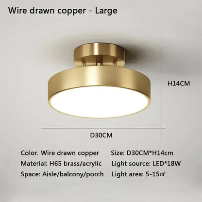 DecorBites™ led ceiling light with wire-drawn copper finish and h65 brass acrylic construction for bedroom and living room