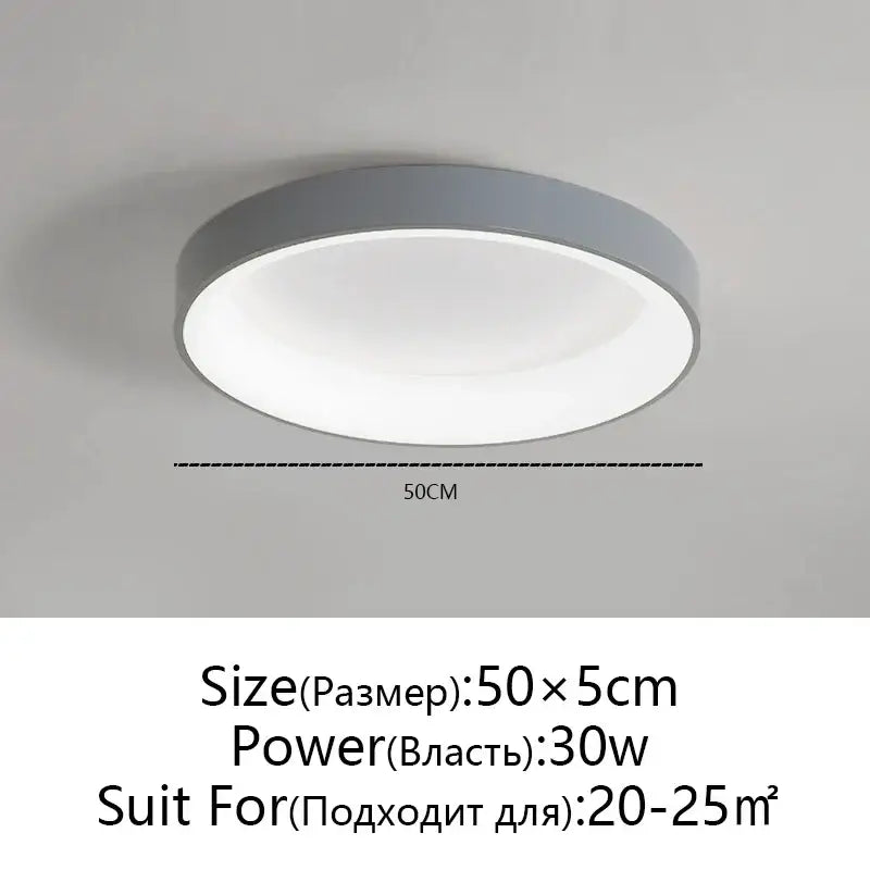 Modern circular decorbites led ceiling light with gray metallic frame and diffused white center for living room use
