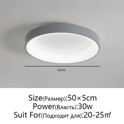 Modern circular decorbites led ceiling light with gray metallic frame and diffused white center for living room use