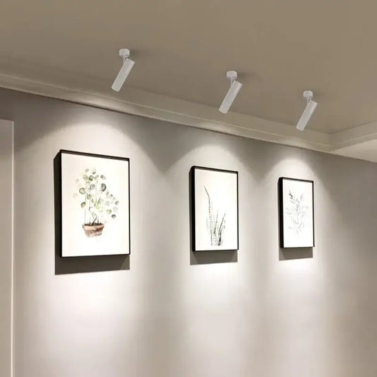 Three white decorbites led ceiling spotlights 7w with 360 and 90 degree rotation illuminate framed botanical wall art