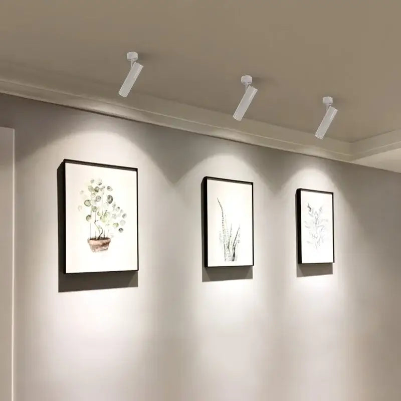Three white decorbites led ceiling spotlights 7w with 360 and 90 degree rotation illuminate framed botanical wall art