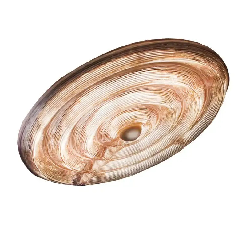 A rustic oval shell with concentric ridges and brownish white tones paired with decorbites led glass chandelier