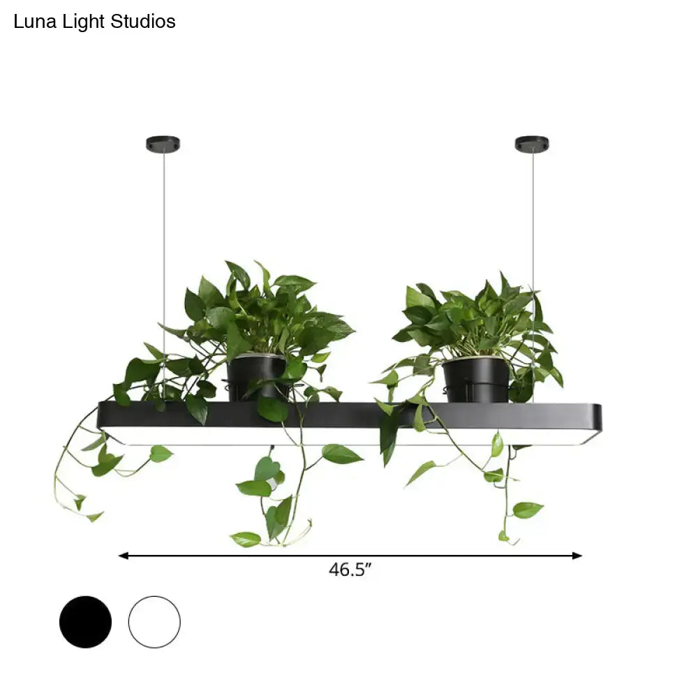Modern black rectangular pendant light fixture with integrated planters featuring lush green vines and warm white light